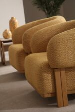 Bianco Koltuk Takımı - Görsel 3